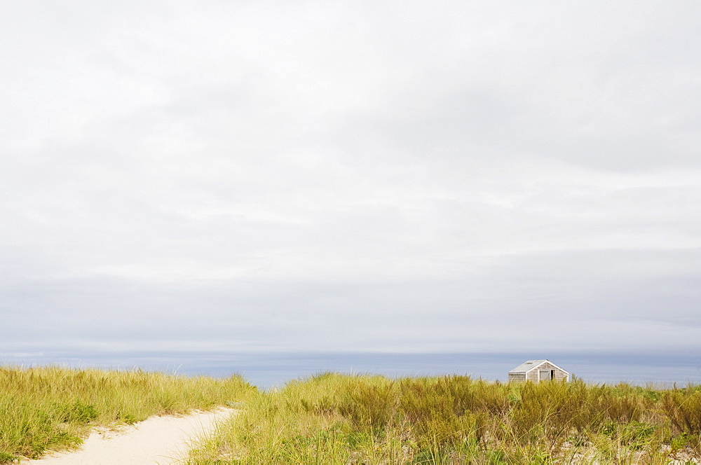 Path to the beach