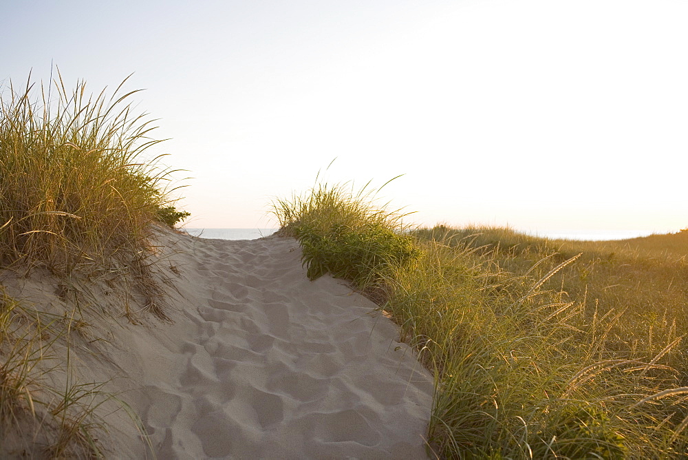 Path to the beach