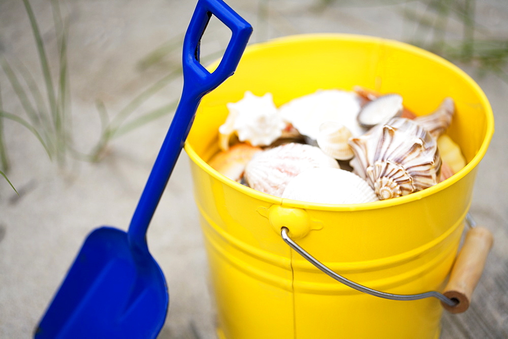 Beach shovel and pail of shells