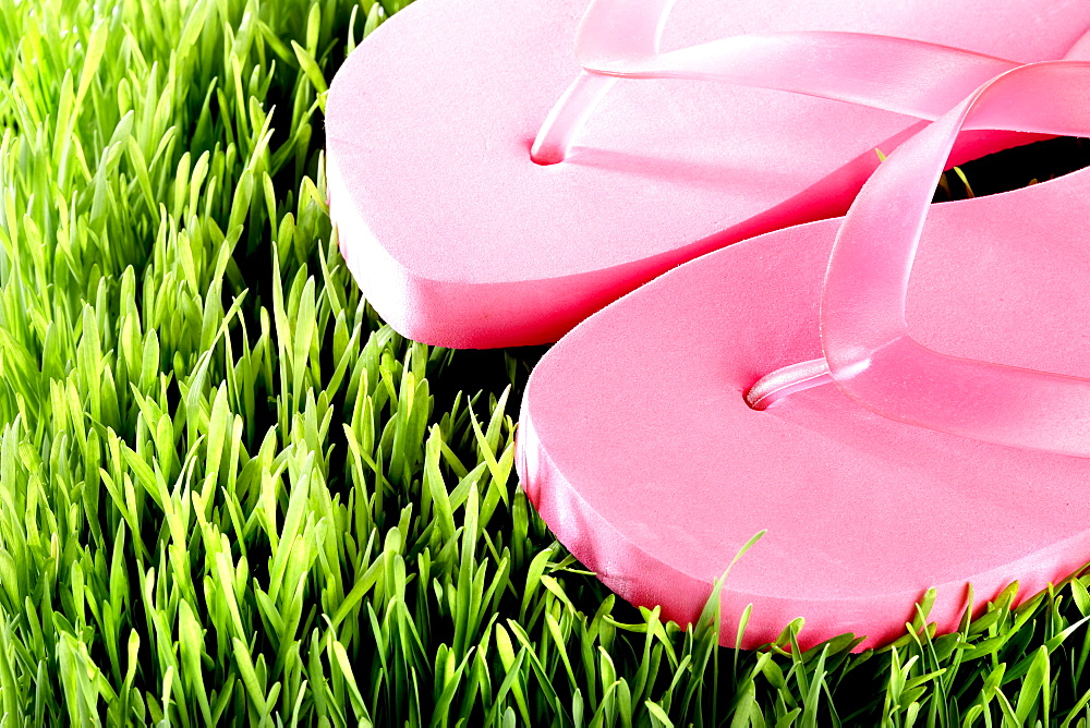 Pair of pink Flip-Flops, close-up