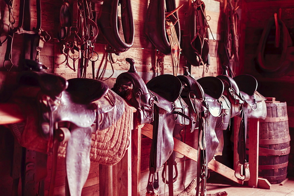 Saddles on bench in barn, The Sauer-Beckmann Living Historic Farm, LBJ State Park, Texas, USA