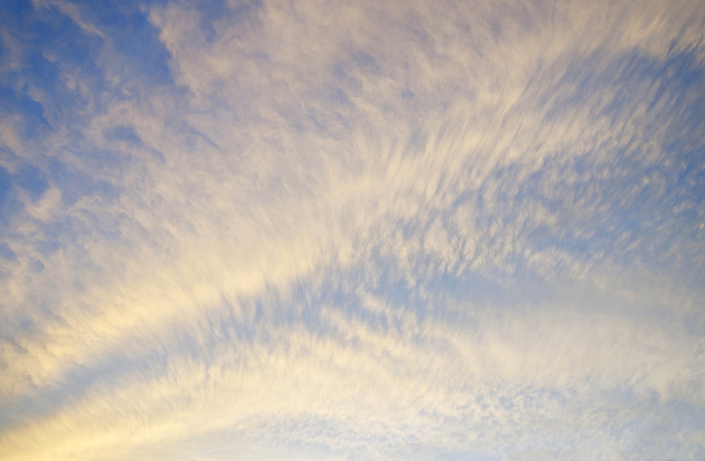 Cirrocumulus clouds in yellow light of setting sun