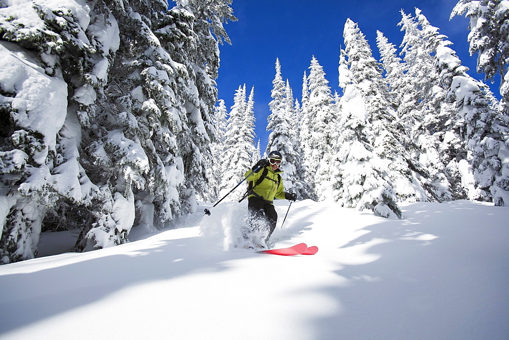 Woman skiing, USA, Montana, Whitefish