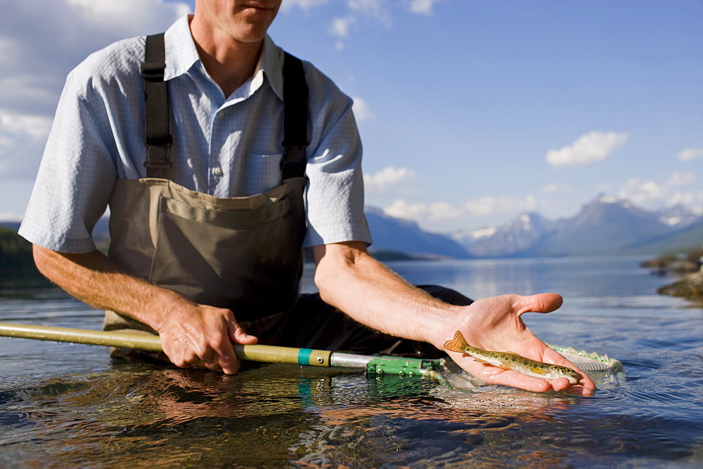 Man holding juvenile western cutthroat trout, Lake McDonald, Glacier National Park, Montana, USA