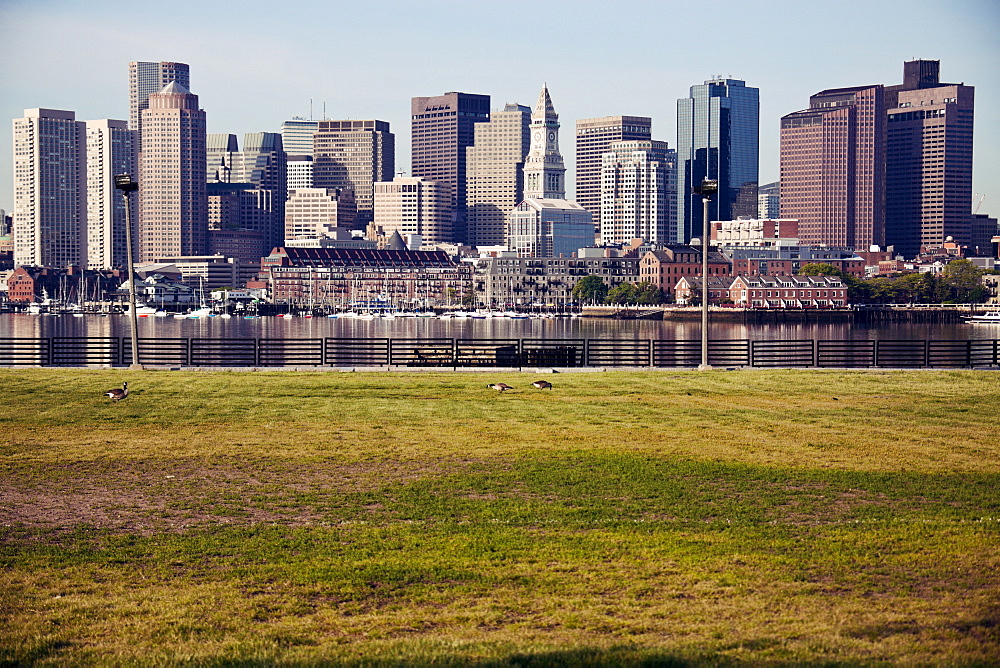 Skyline at sunrise, with grass foreground, USA, Massachusetts, Boston, 