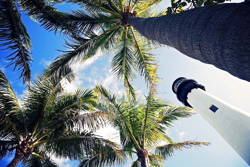 USA, Florida, Key Biscayne, Lighthouse with palm trees