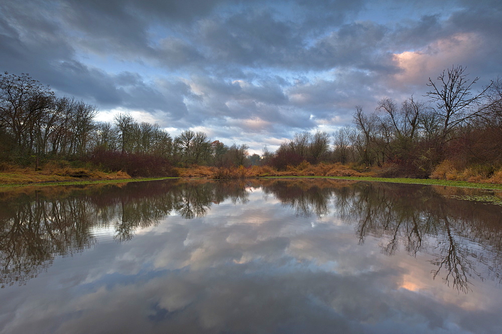 USA, Oregon, Marion County, Trees and clouds reflecting in lake