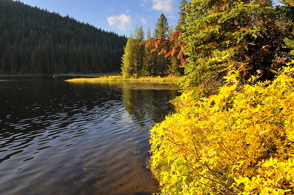 USA, Oregon, Multnomah County, Trillium Lake