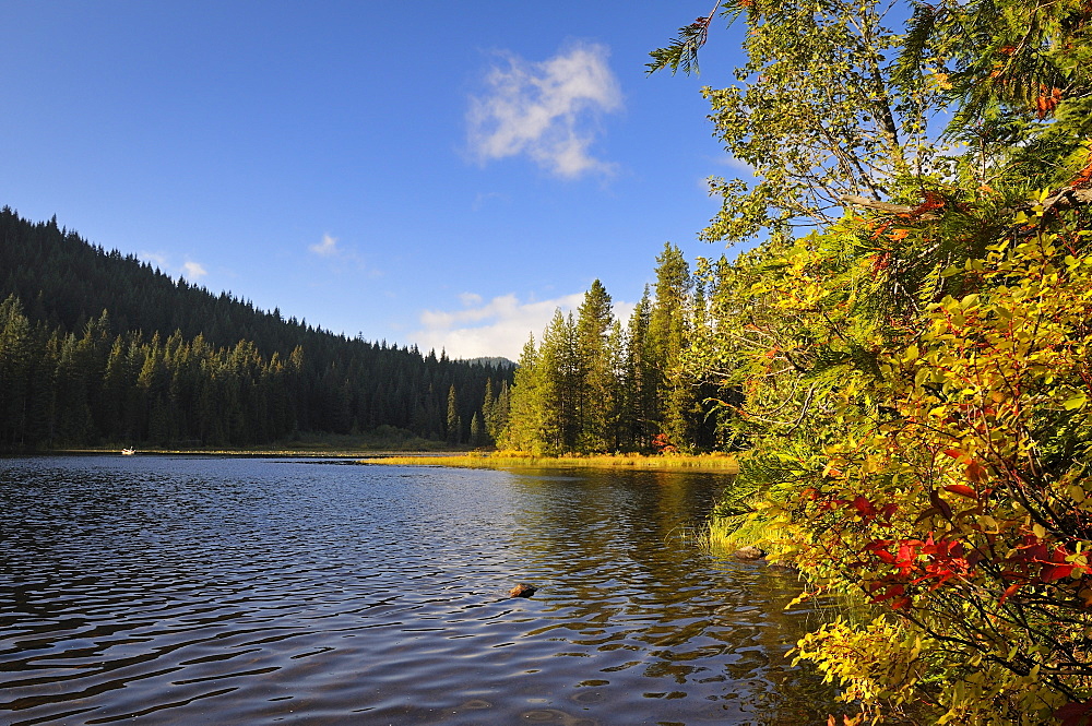 USA, Oregon, Multnomah County, Trillium Lake