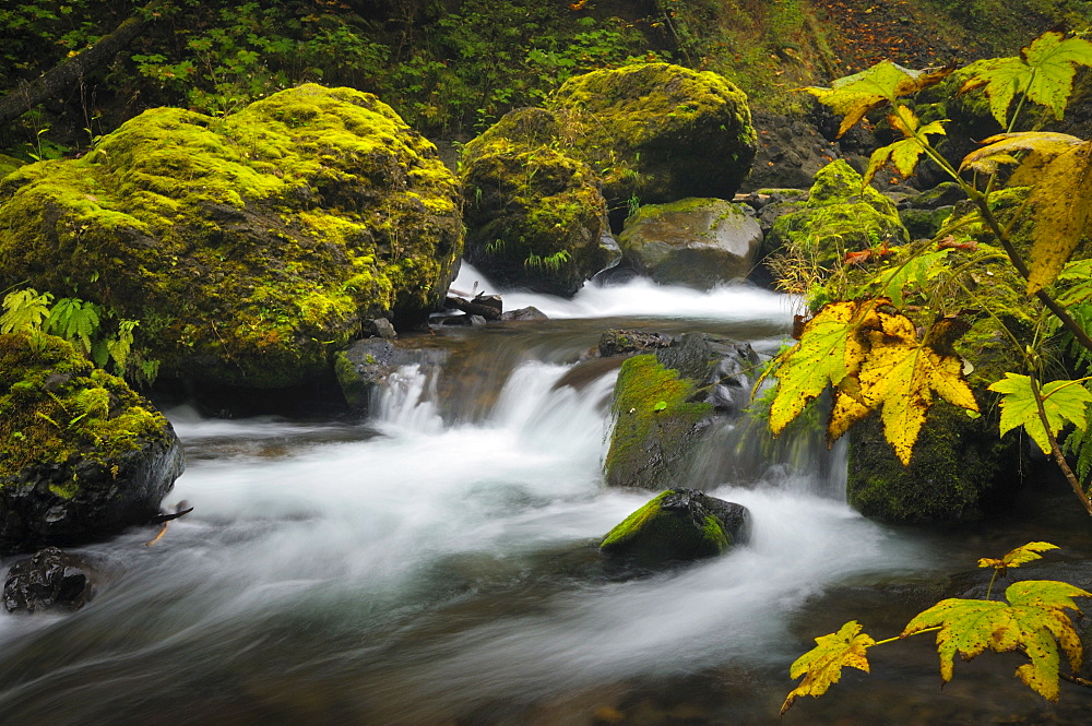 USA, Oregon, Eagle Creek