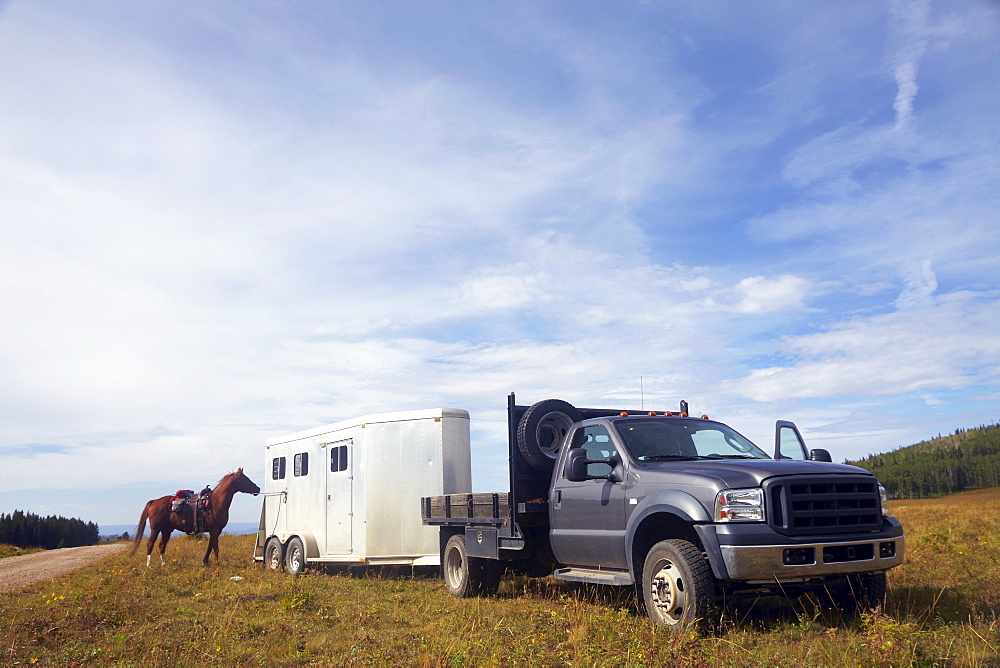 Horse trailer, USA, Western USA, Colorado