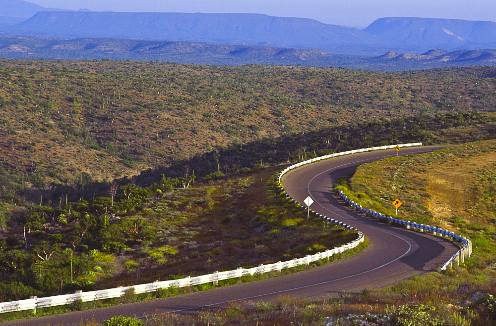 Mexico, Baja California, Desert road