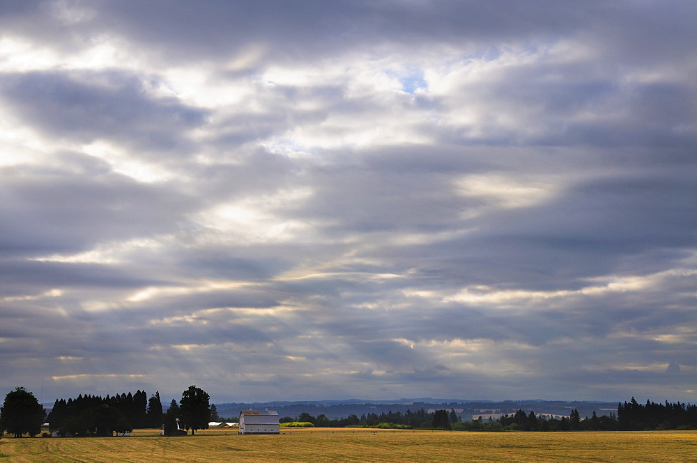 USA, Oregon, Marion County, Rural scene at sunrise