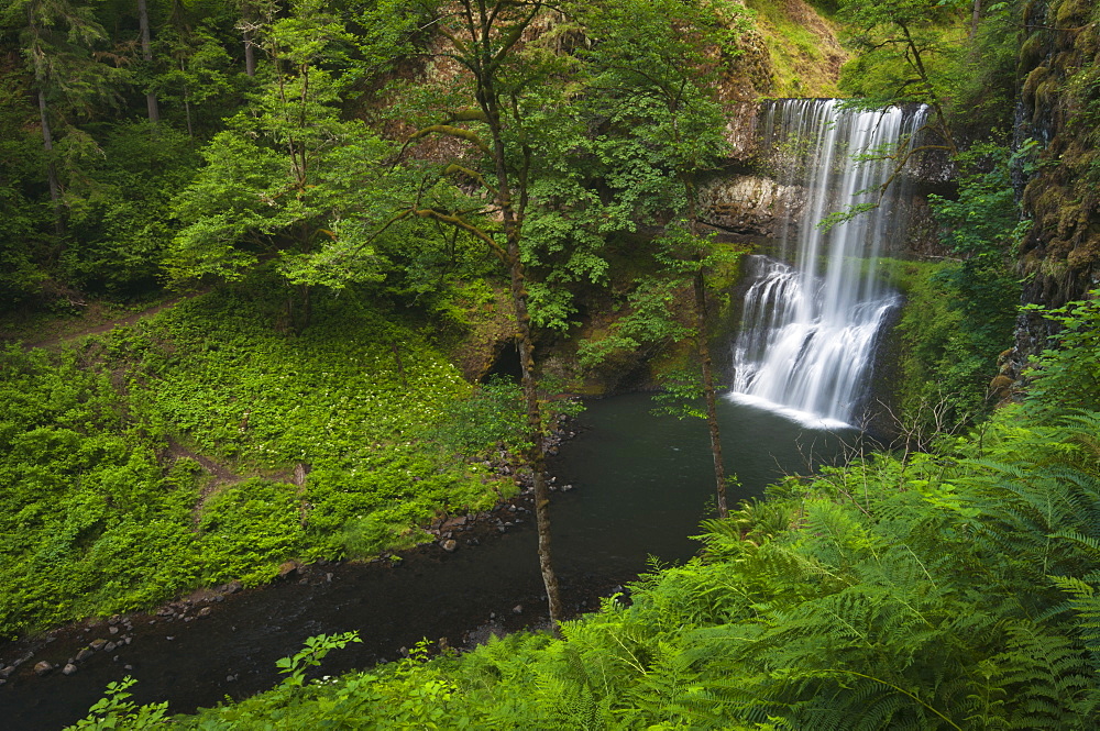 USA, Oregon, Silver Falls State Park, Lower South Falls