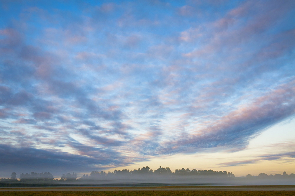 USA, Oregon, Marion County, Field at sunrise