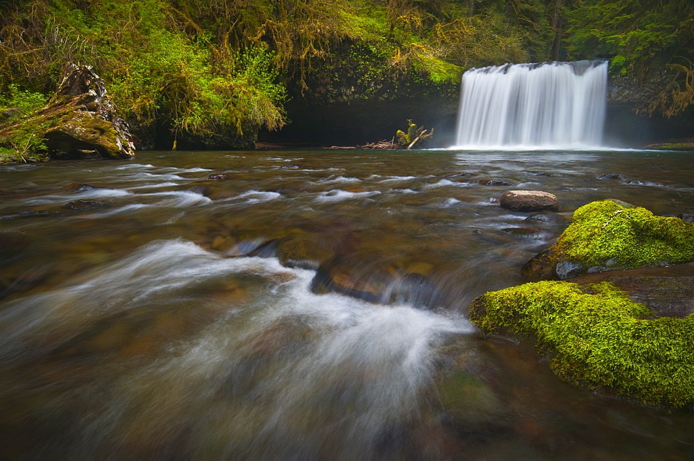 USA, Oregon, Scenic view of Upper Butte Creek Falls