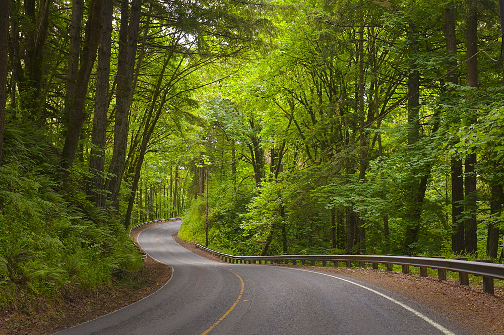 USA, Oregon, Yamhill County, Newberg, View of Wilsonville Highway
