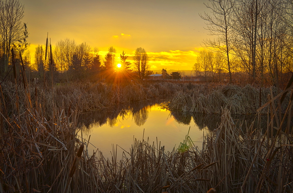 USA, Oregon, Sunset over Marsh