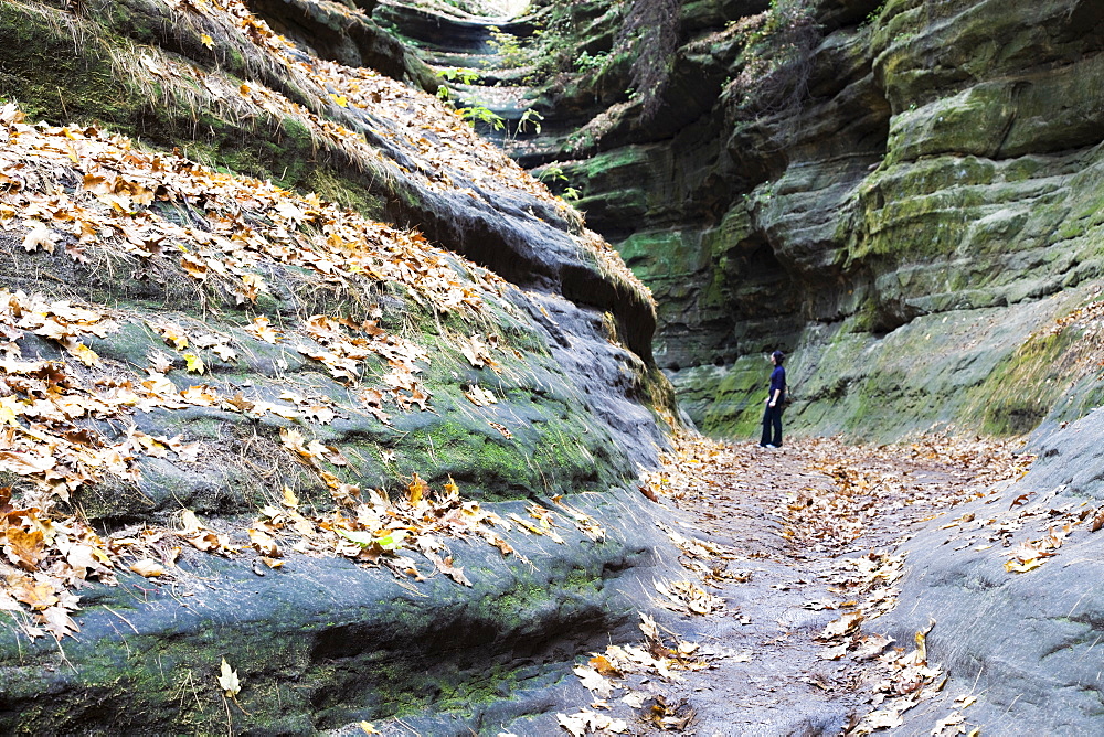 USA, Illinois, Starved Rock State Park, Woman standing in canyon