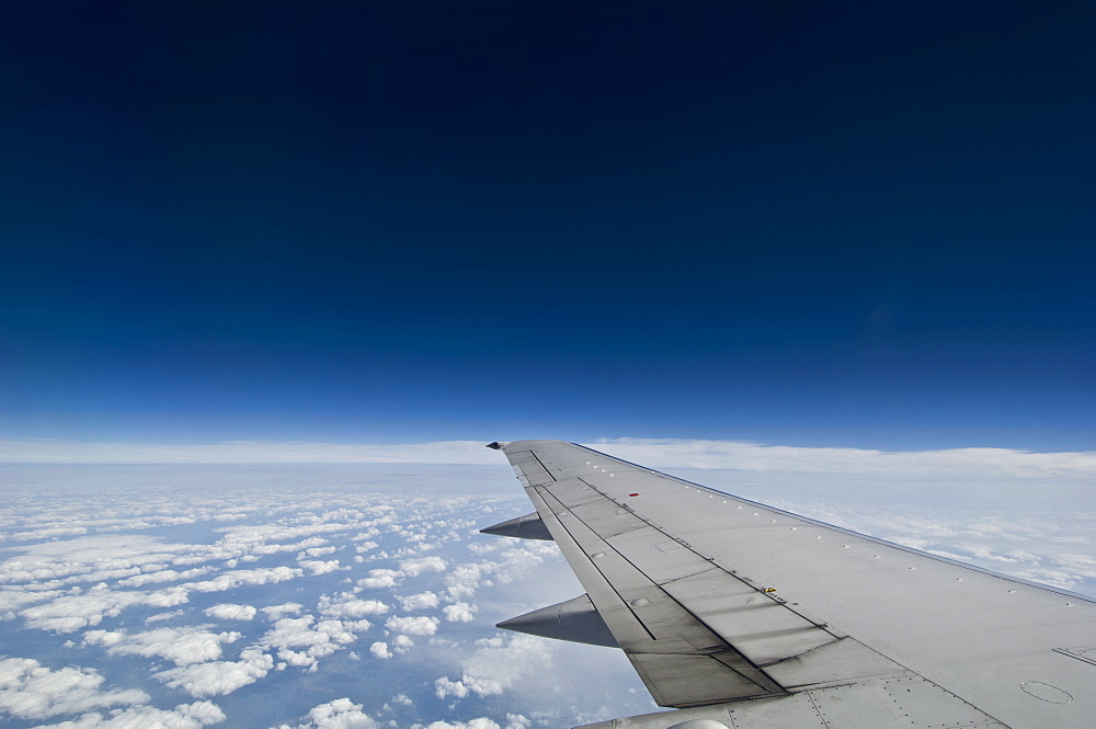 Wing on airplane