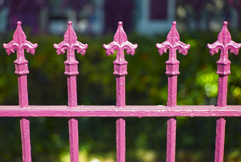 Close up of pink iron fence