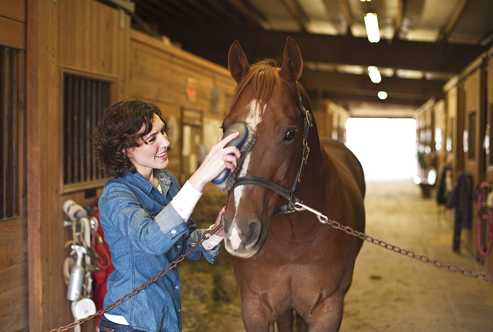 Woman grooming horse