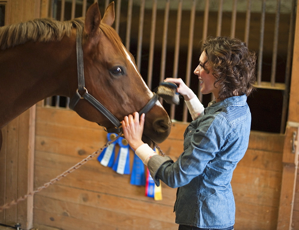 Woman grooming horse