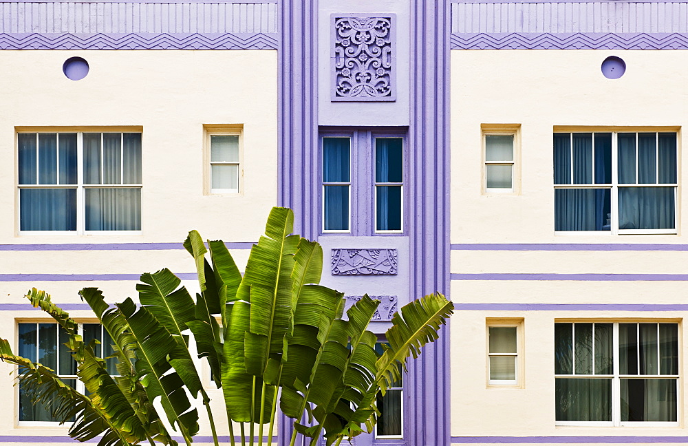 Plant and exterior of building