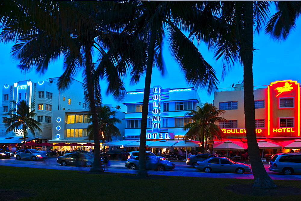 Palm trees and street at night