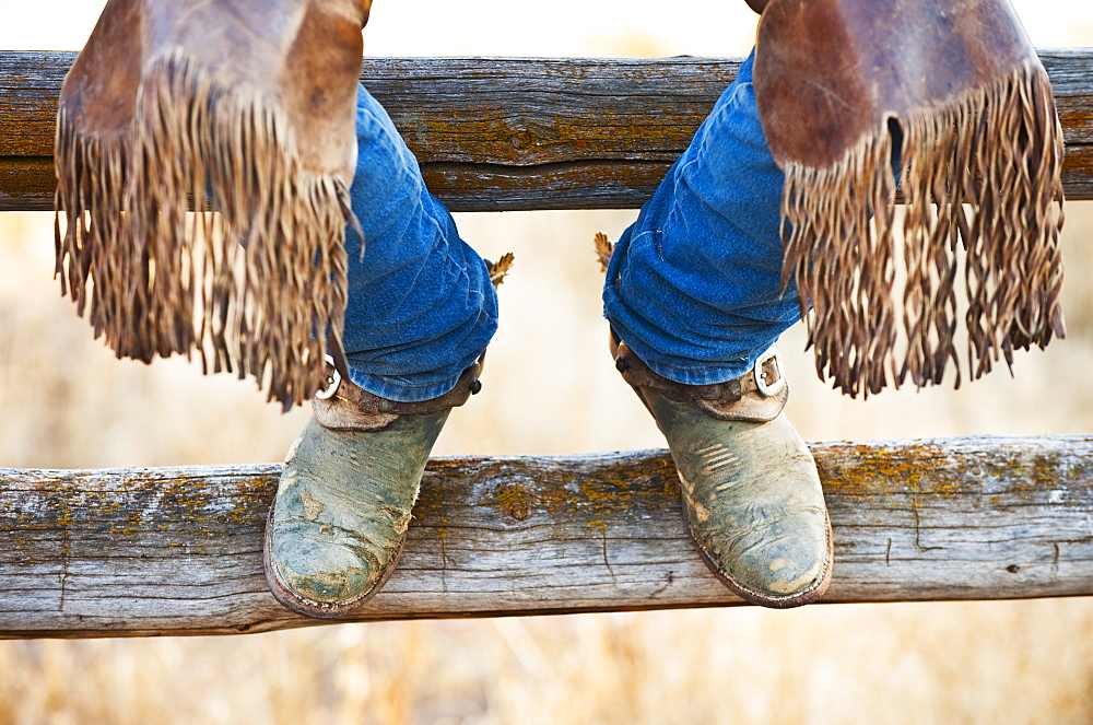 Cowboy boots on fence
