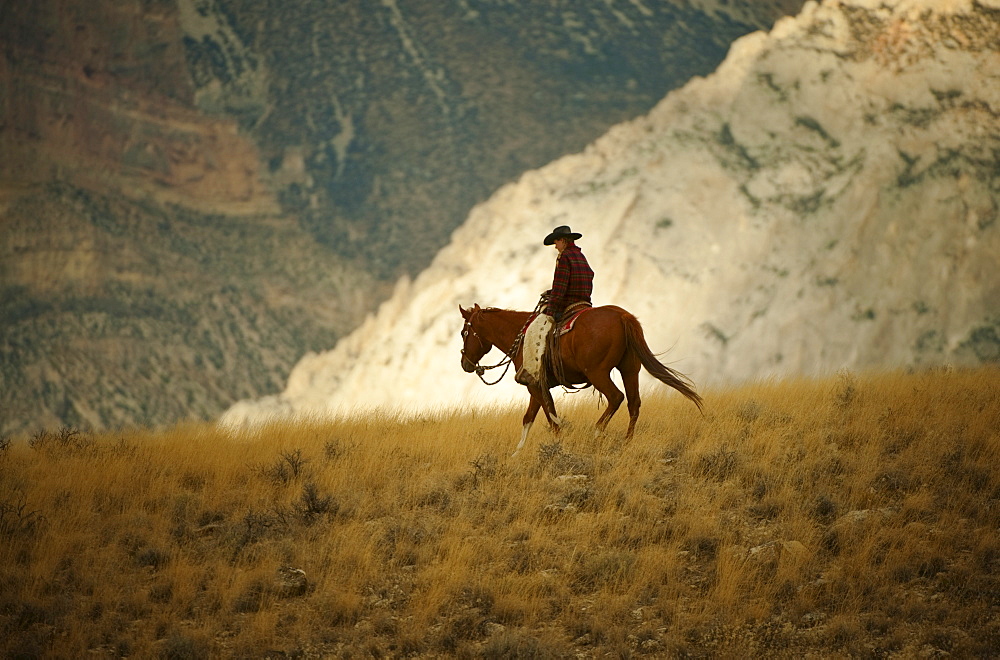 Horseback rider