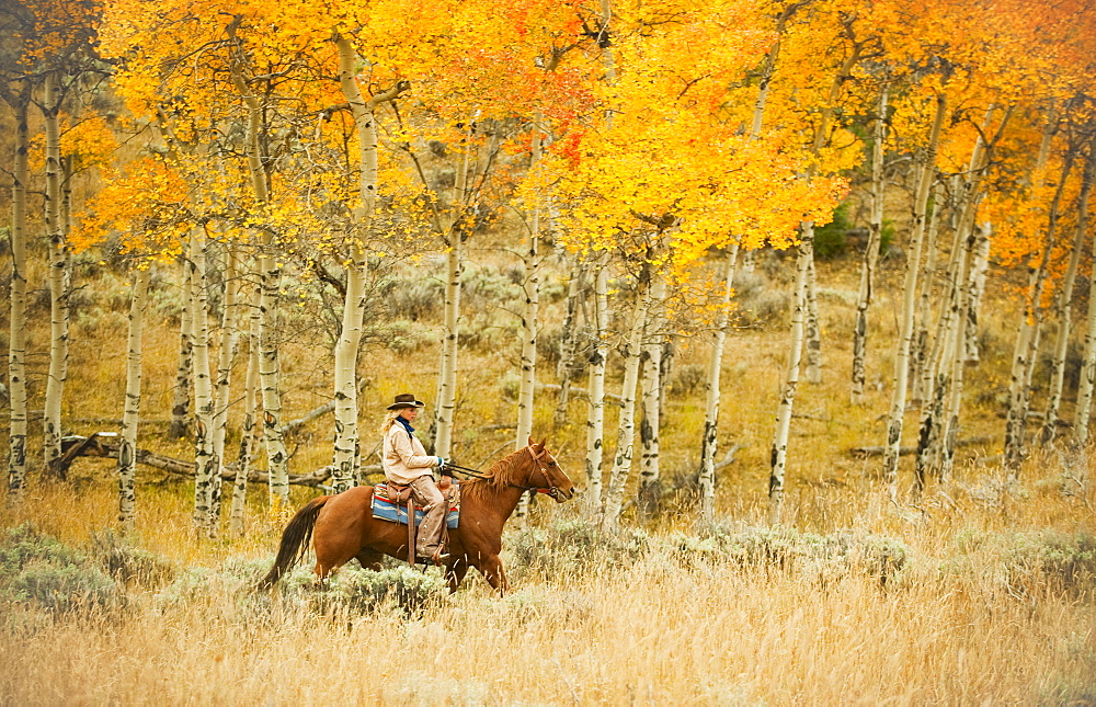 Horseback rider