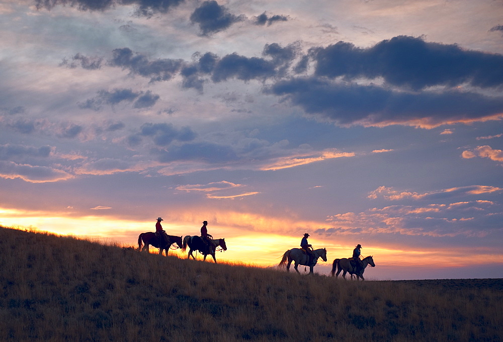 Horseback riders at sunset