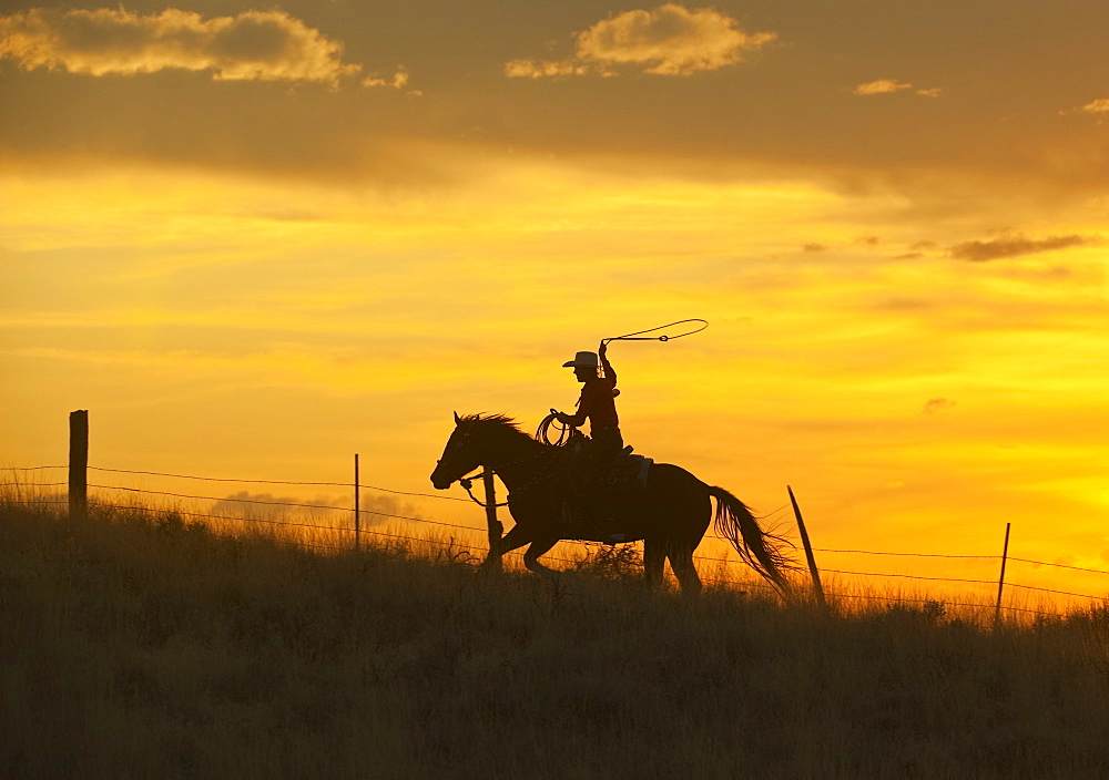 Horseback rider