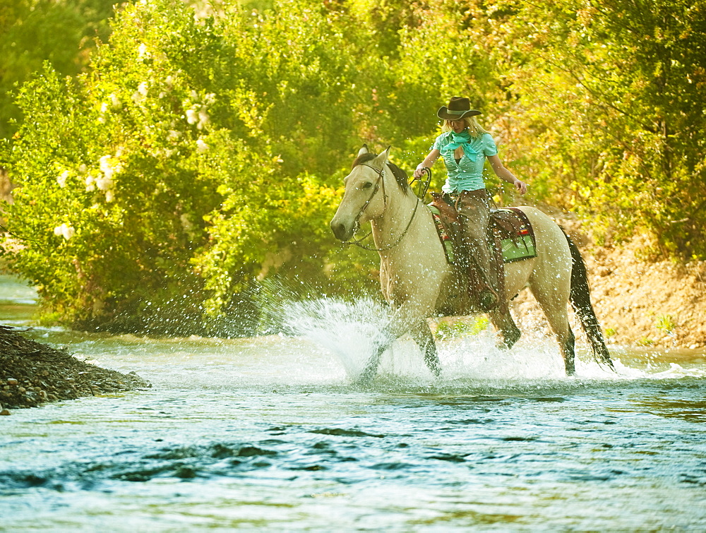 Horseback rider