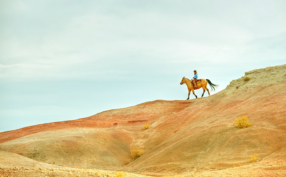 Horseback rider