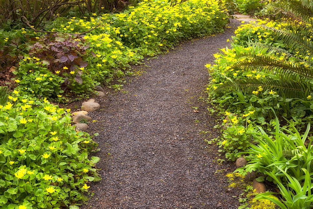 Garden path, Marion county, Oregon