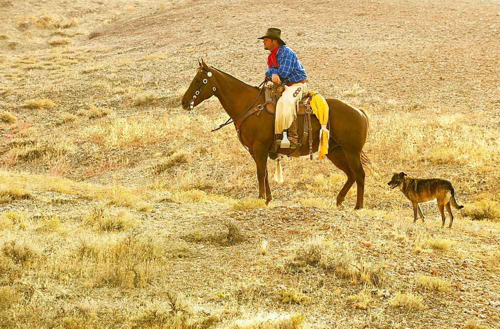 Horseback rider and dog