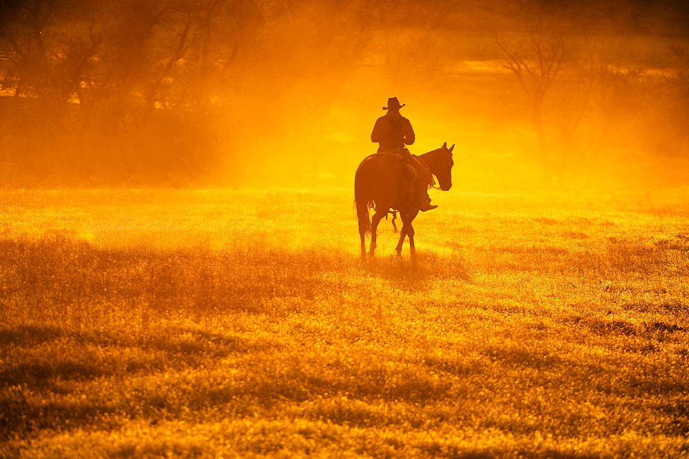 Horseback rider