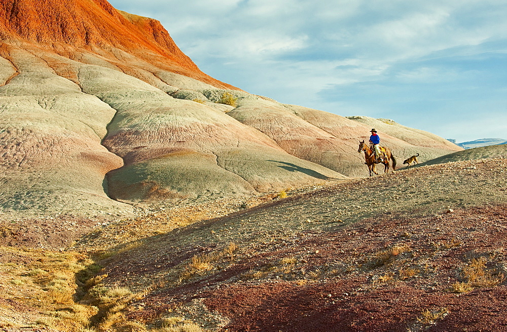 Horseback rider