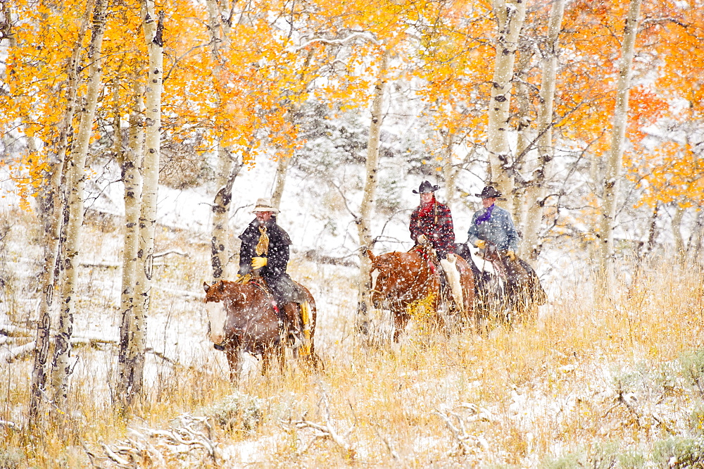 Horseback riders