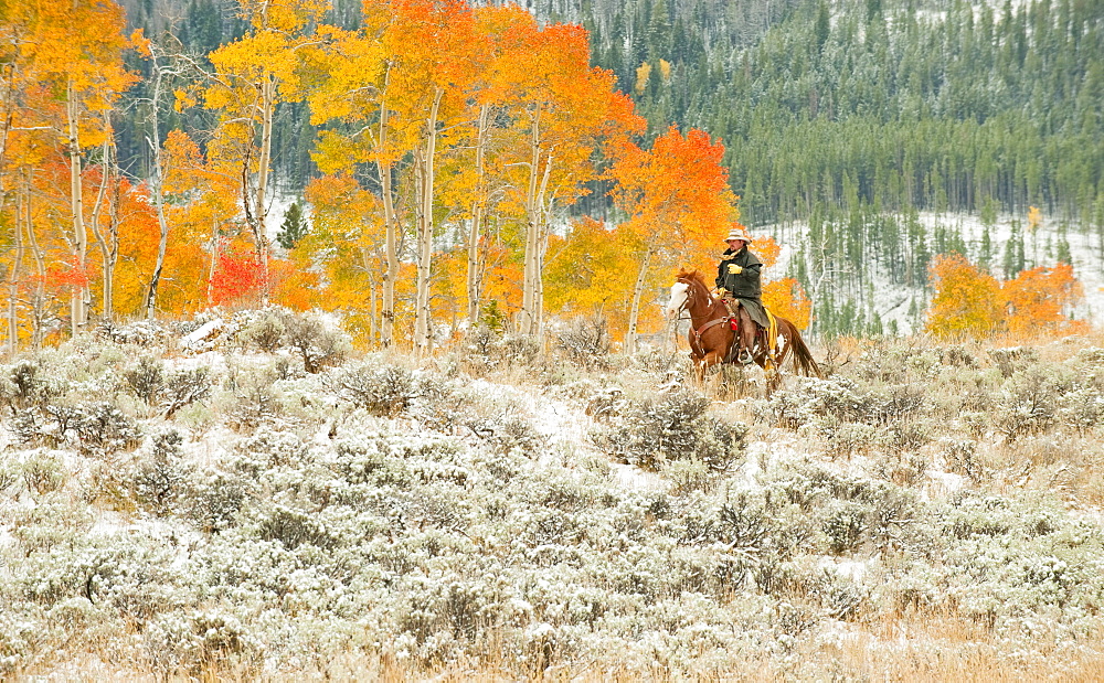 Horseback rider