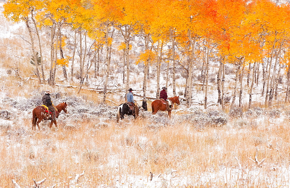 Horseback riders