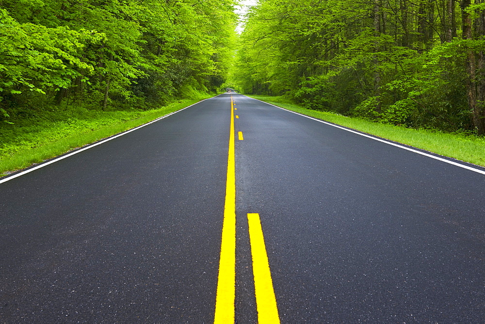 A scenic and empty road