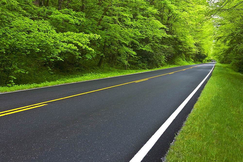 A scenic and empty road