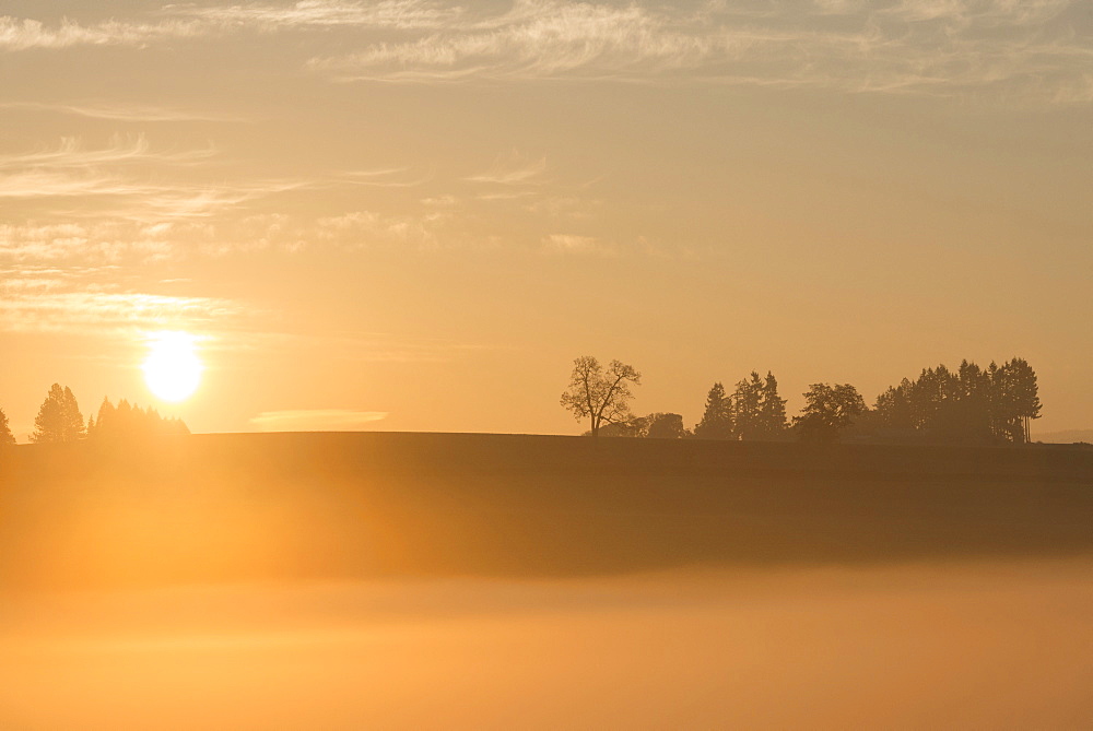 Sunrise over Wilamette Valley, USA, Oregon, Marion County