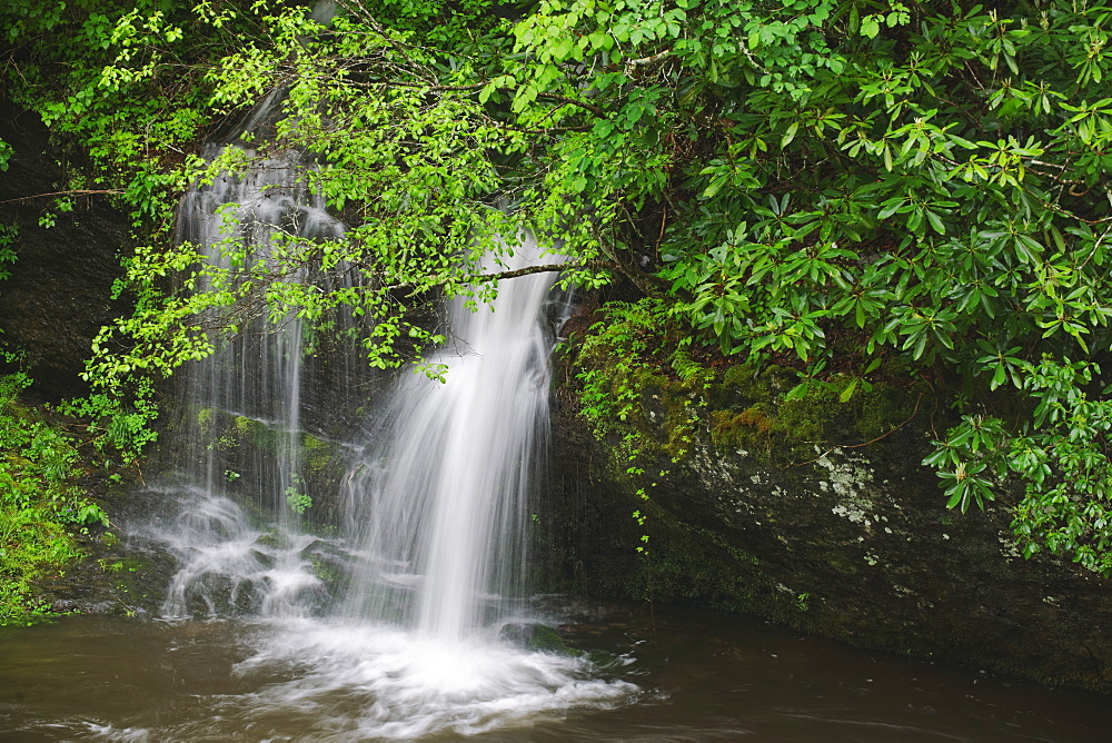 A scenic waterfall