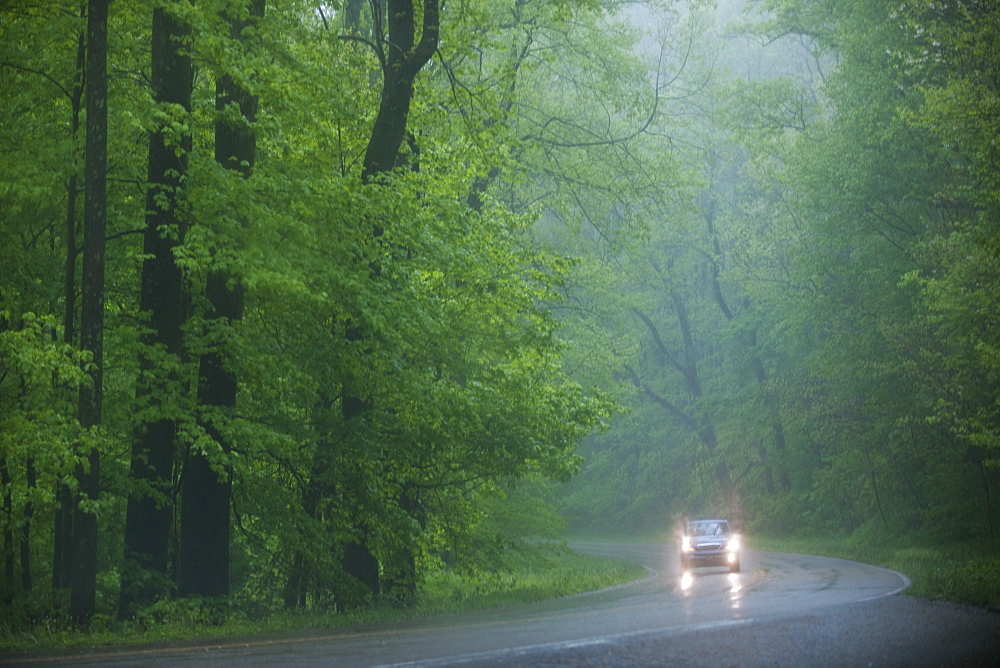 A scenic and empty road