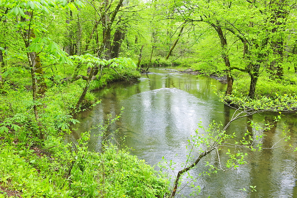 Flowing creek