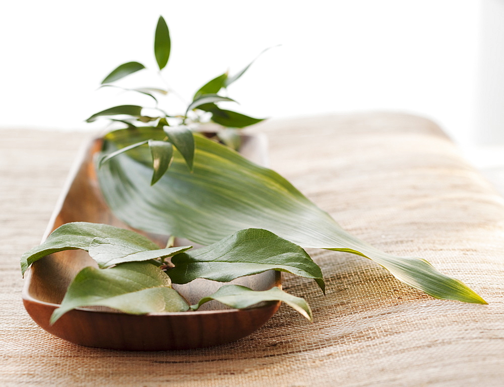 Tropical leaves in wooden bowl